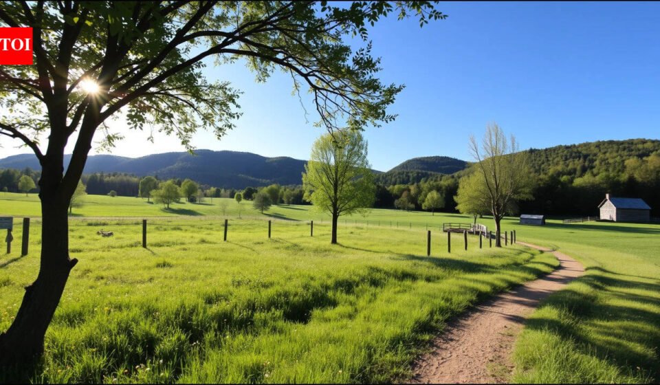 In 1944, a Vermont woman used money meant for a fur coat to buy a 150-acre farm; 20 years later she gave it to Audubon for wildlife conservation