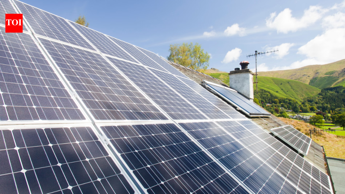 British Gas customer claimed £300 for solar power but received £38,611.59 by mistake; she spent seven weeks trying to give it back