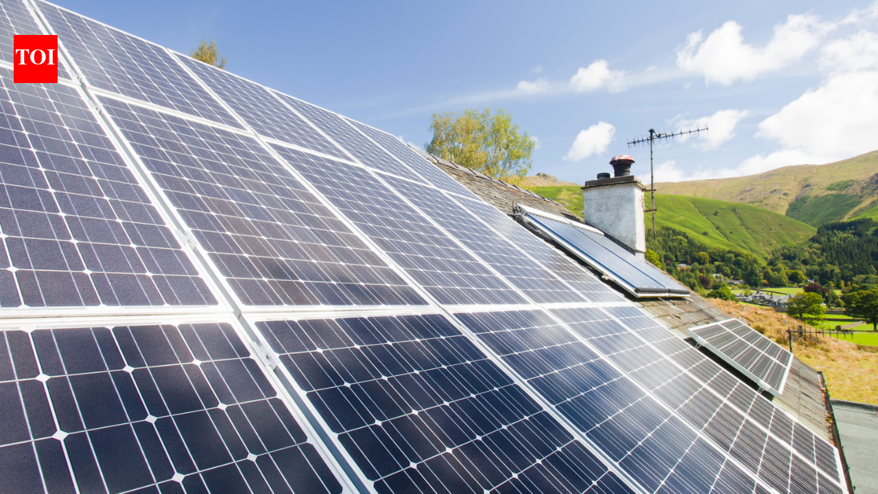 British Gas customer claimed £300 for solar power but received £38,611.59 by mistake; she spent seven weeks trying to give it back