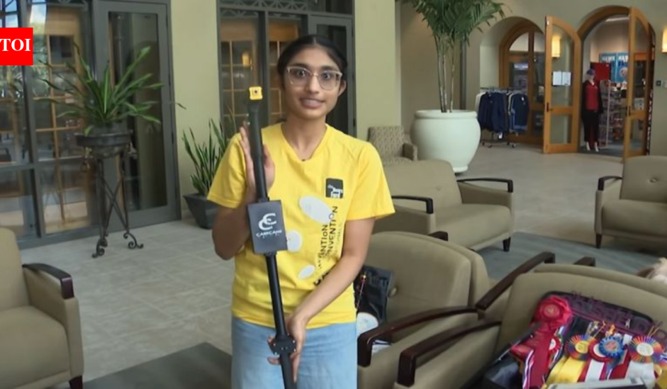 Meet Ishanvi Sabniveesu, the Florida 10th-grader whose AI-powered cane can describe a blind user’s surroundings, work offline and make emergency calls