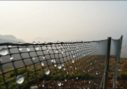 Moroccan women once walked hours to collect water; now giant nets harvest drinking water from mountain fog