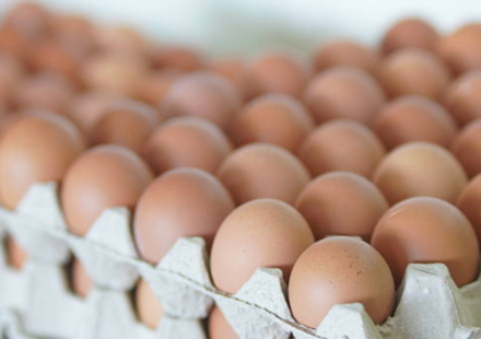 One dead, over 200 ill in UK Salmonella outbreak: Symptoms, cause and all you need to know