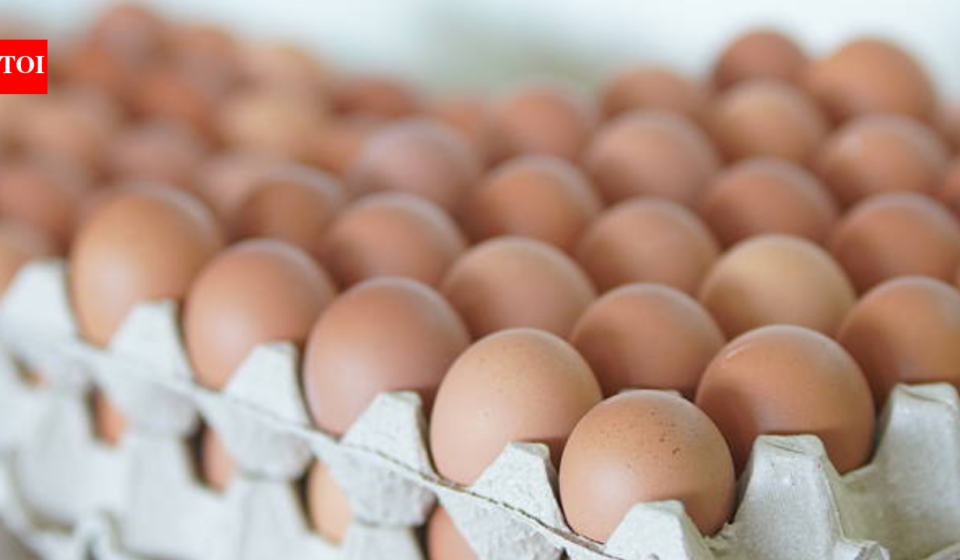 One dead, over 200 ill in UK Salmonella outbreak: Symptoms, cause and all you need to know