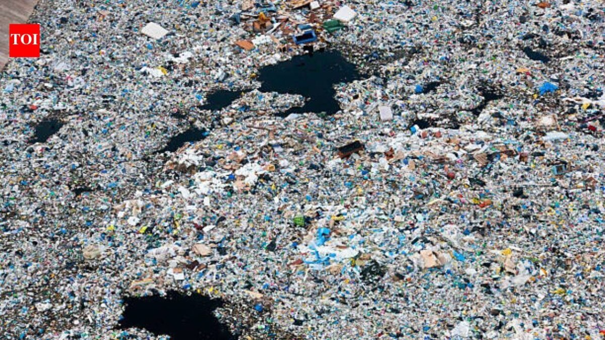 A rotating 'garbage island' spreads over 1.6 million sq km in the Pacific: Plastic averages 50 kilograms per square kilometre, and 75 to 86% of the debris comes from fishing gear