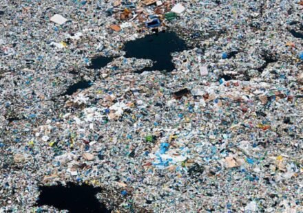 A rotating 'garbage island' spreads over 1.6 million sq km in the Pacific: Plastic averages 50 kilograms per square kilometre, and 75 to 86% of the debris comes from fishing gear