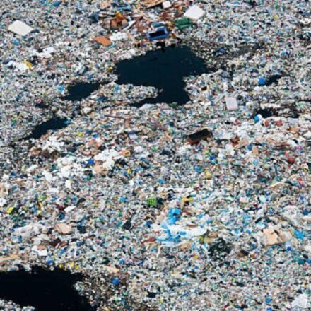 A rotating 'garbage island' spreads over 1.6 million sq km in the Pacific: Plastic averages 50 kilograms per square kilometre, and 75 to 86% of the debris comes from fishing gear