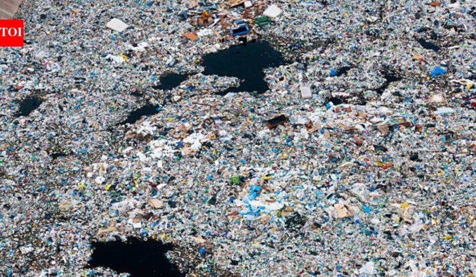 A rotating 'garbage island' spreads over 1.6 million sq km in the Pacific: Plastic averages 50 kilograms per square kilometre, and 75 to 86% of the debris comes from fishing gear