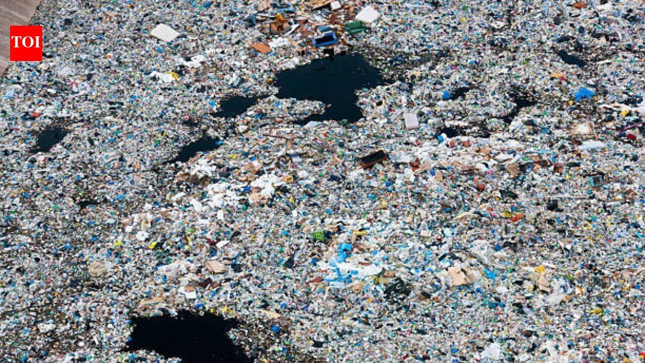 A rotating 'garbage island' spreads over 1.6 million sq km in the Pacific: Plastic averages 50 kilograms per square kilometre, and 75 to 86% of the debris comes from fishing gear