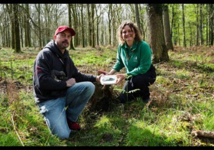 Man walking his dog discovers a 3,400-year-old Bronze Age axe in an English forest