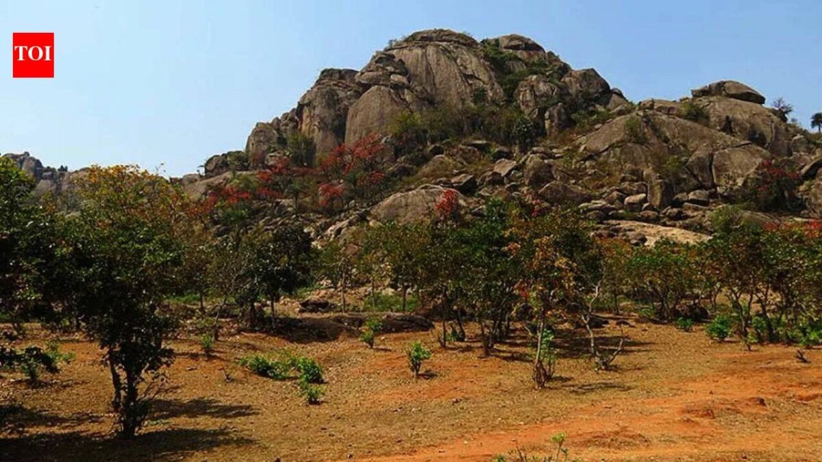 Oldest evidence of life on Earth has been discovered in India: A 3.4 billion-year-old layered rock shows signs of microbial life