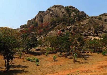 Oldest evidence of life on Earth has been discovered in India: A 3.4 billion-year-old layered rock shows signs of microbial life