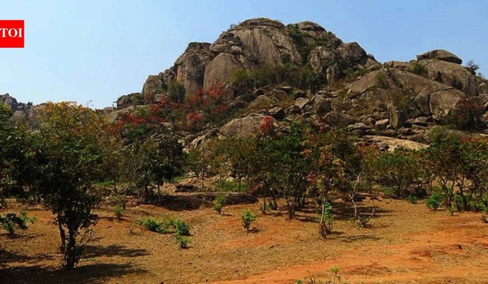 Oldest evidence of life on Earth has been discovered in India: A 3.4 billion-year-old layered rock shows signs of microbial life