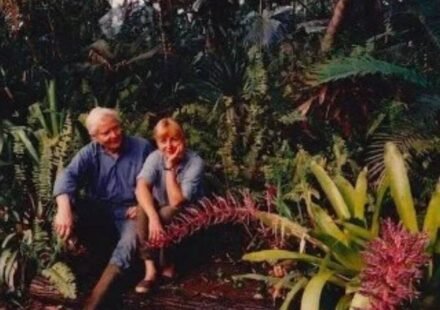 In the 1970s, Pulitzer Prize-winning poet W.S. Merwin and his wife Paula bought a barren piece of land in Hawaii; planting one sapling at a time, they transformed the wasteland into a 19-acre forest with more than 3,000 palms