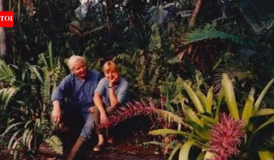 In the 1970s, Pulitzer Prize-winning poet W.S. Merwin and his wife Paula bought a barren piece of land in Hawaii; planting one sapling at a time, they transformed the wasteland into a 19-acre forest with more than 3,000 palms