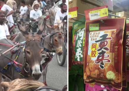 Why Pakistan’s donkeys are becoming valuable in China: What is driving a surprising demand for the humble animal