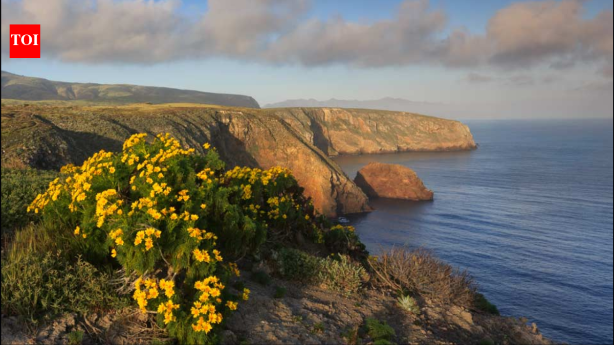 The US offered a California family $4 million for its 6,300-acre island ranch; after they refused, the government seized it and a jury awarded them $12.7 million