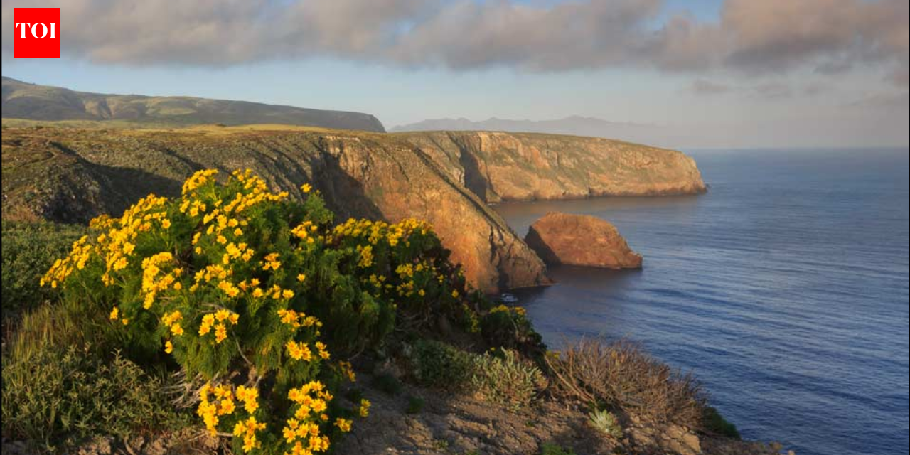 The US offered a California family $4 million for its 6,300-acre island ranch; after they refused, the government seized it and a jury awarded them $12.7 million