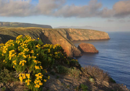 The US offered a California family $4 million for its 6,300-acre island ranch; after they refused, the government seized it and a jury awarded them $12.7 million