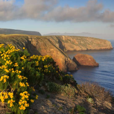 The US offered a California family $4 million for its 6,300-acre island ranch; after they refused, the government seized it and a jury awarded them $12.7 million