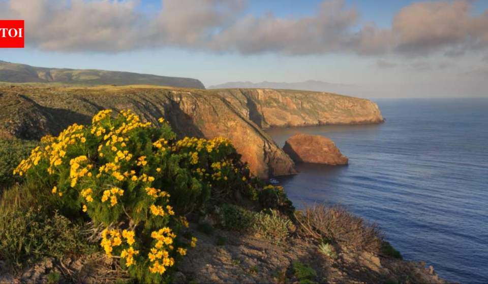 The US offered a California family $4 million for its 6,300-acre island ranch; after they refused, the government seized it and a jury awarded them $12.7 million