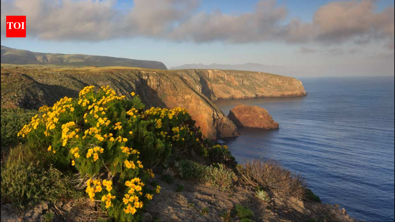 The US offered a California family $4 million for its 6,300-acre island ranch; after they refused, the government seized it and a jury awarded them $12.7 million