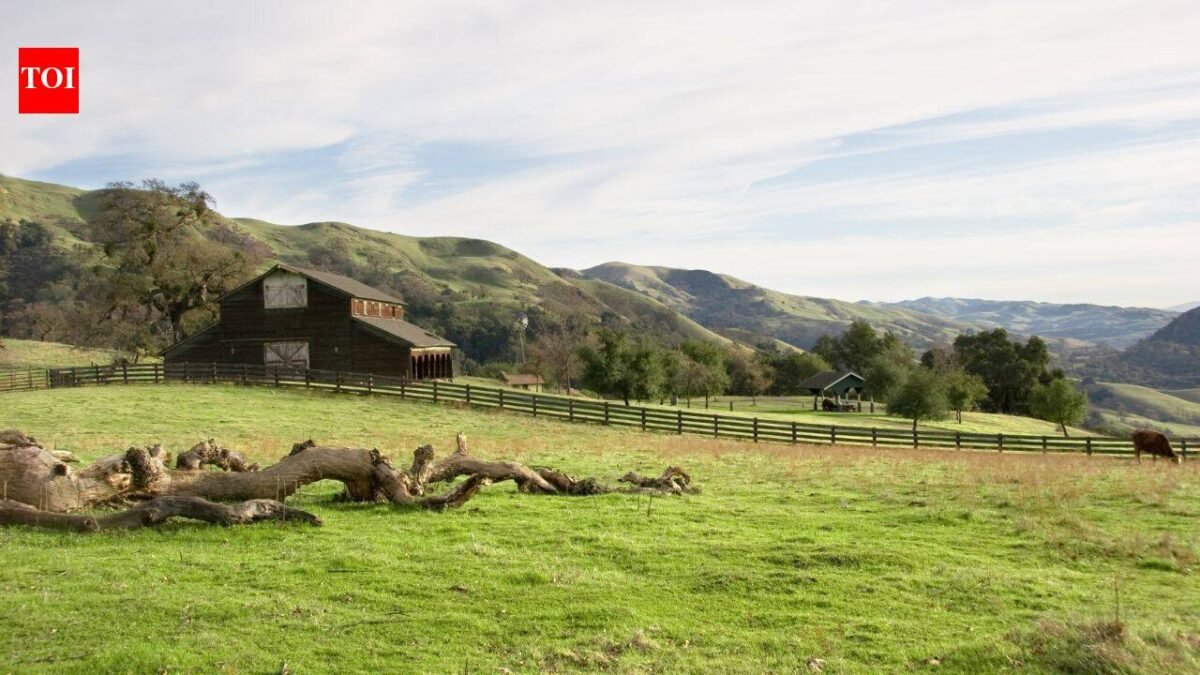 In 1974, the National Park Service bought the Stewart family's 890-acre California ranch; they negotiated the right to remain and continued ranching there until 2021