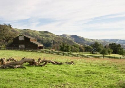In 1974, the National Park Service bought the Stewart family's 890-acre California ranch; they negotiated the right to remain and continued ranching there until 2021