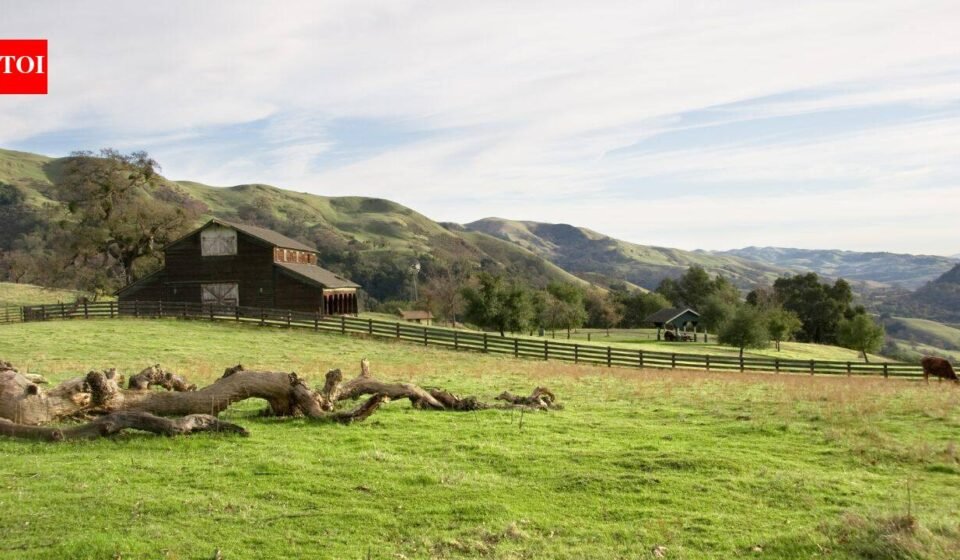 In 1974, the National Park Service bought the Stewart family's 890-acre California ranch; they negotiated the right to remain and continued ranching there until 2021