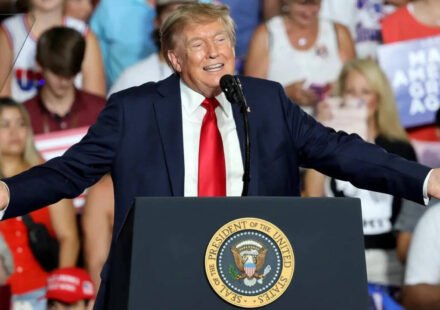 ‘Pretend, please, that I’m on the ballot’: Trump's appeal to voters ahead of midterms