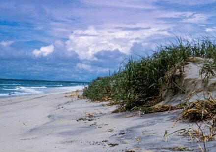 In the early 1960s, developers sold 5,850 lots for a private resort on Assateague Island; one five-day storm wiped out nearly every house and helped turn it into a national seashore