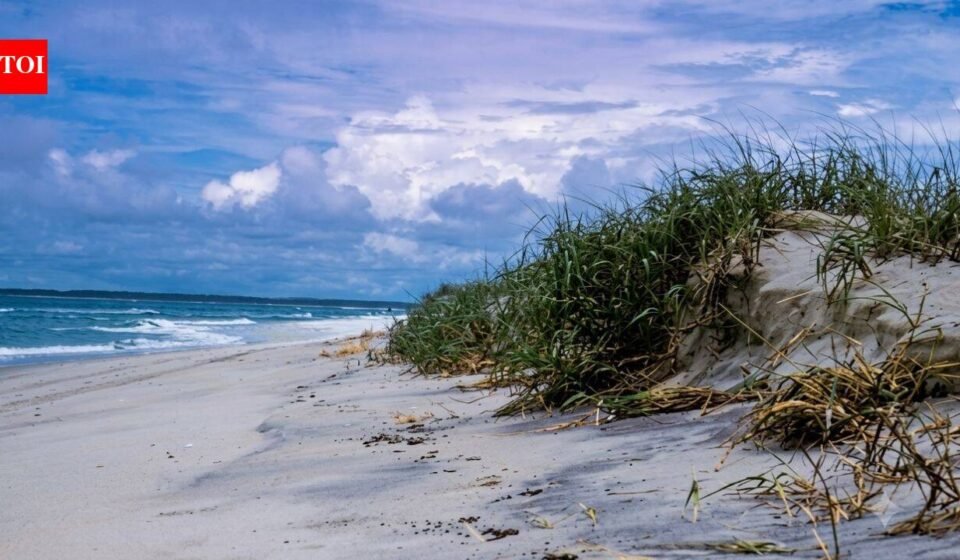 In the early 1960s, developers sold 5,850 lots for a private resort on Assateague Island; one five-day storm wiped out nearly every house and helped turn it into a national seashore
