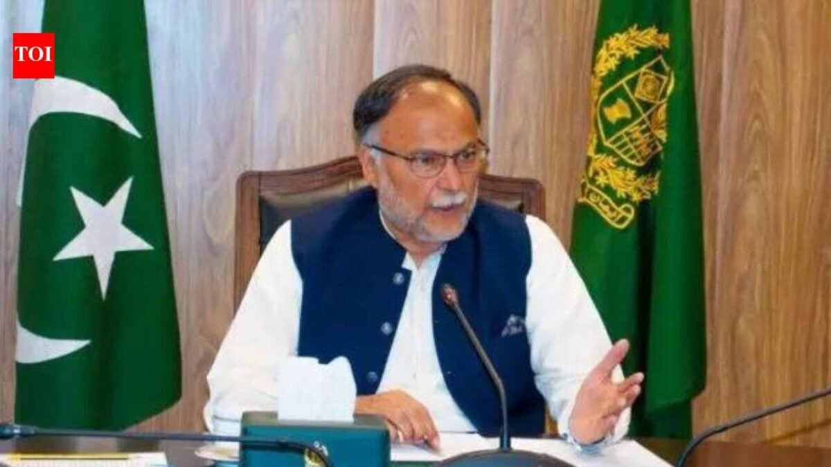 'India could use water as weapon': Pakistan minister as Indus Waters Treaty remains in abeyance