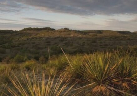 In 1969, a Church’s Fried Chicken co-founder bought 3,000 acres of neglected Texas ranchland; decades of restoration brought long-absent springs and flowing water back
