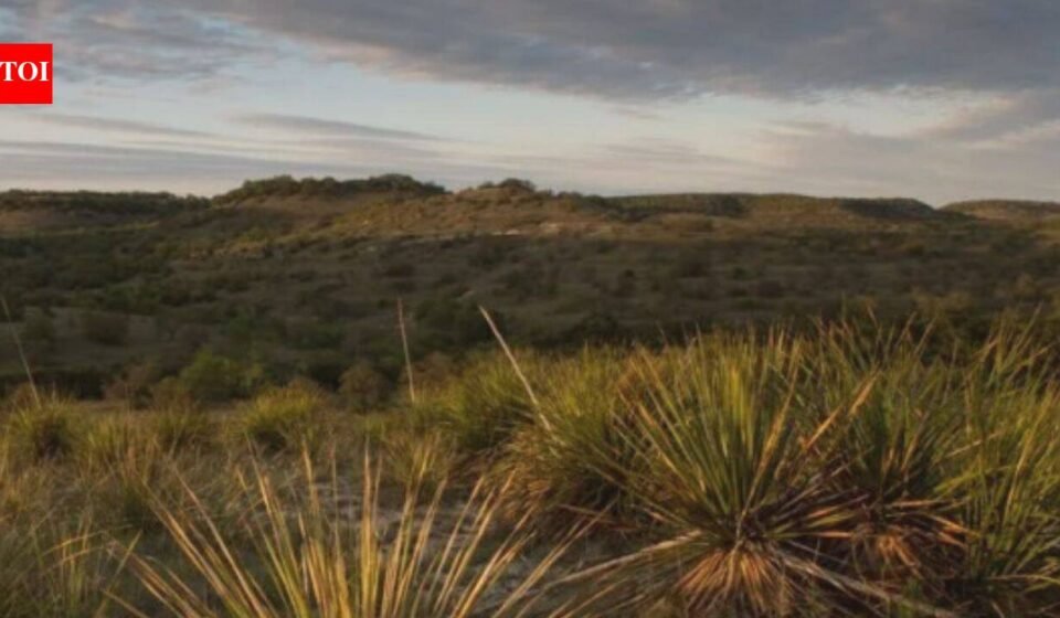 In 1969, a Church’s Fried Chicken co-founder bought 3,000 acres of neglected Texas ranchland; decades of restoration brought long-absent springs and flowing water back