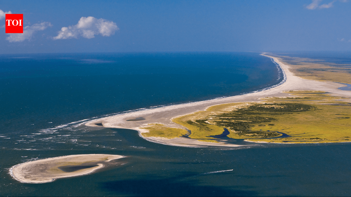In 1967, Henry Pigott sold his North Carolina island home to help create Cape Lookout National Seashore; a life estate let him stay until his death as Portsmouth Village's last male resident
