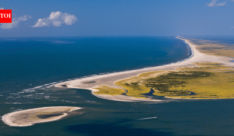 In 1967, Henry Pigott sold his North Carolina island home to help create Cape Lookout National Seashore; a life estate let him stay until his death as Portsmouth Village's last male resident