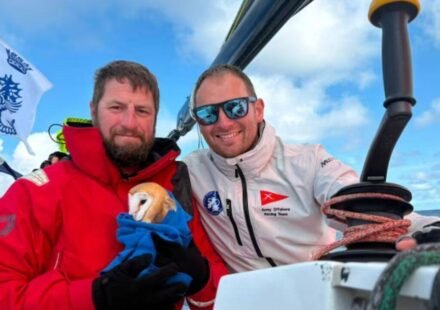 A tiny owl flew 70 miles out to sea and collapsed on a yacht, exhausted and too weak to fly, she found an unlikely group of rescuers who refused to leave her behind