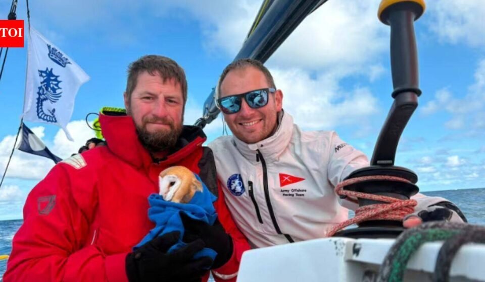 A tiny owl flew 70 miles out to sea and collapsed on a yacht, exhausted and too weak to fly, she found an unlikely group of rescuers who refused to leave her behind