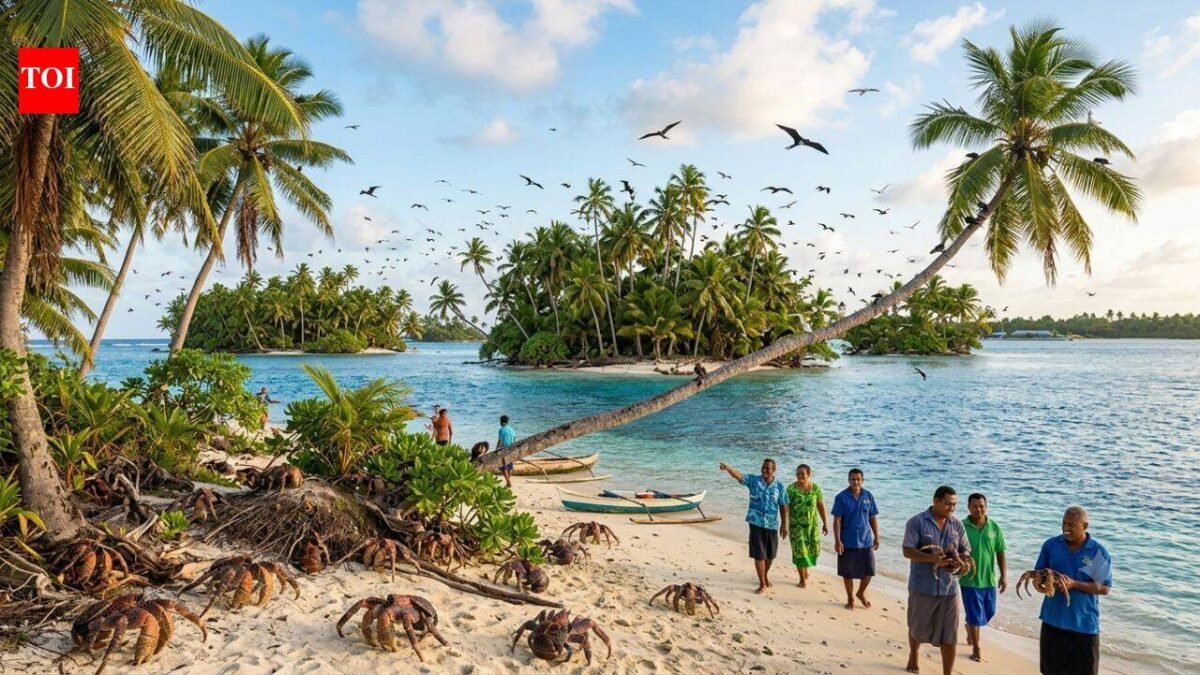 After years of invasive rats threatening island wildlife, Tuvalu removed them from six islets; residents are now seeing birds and coconut crabs return
