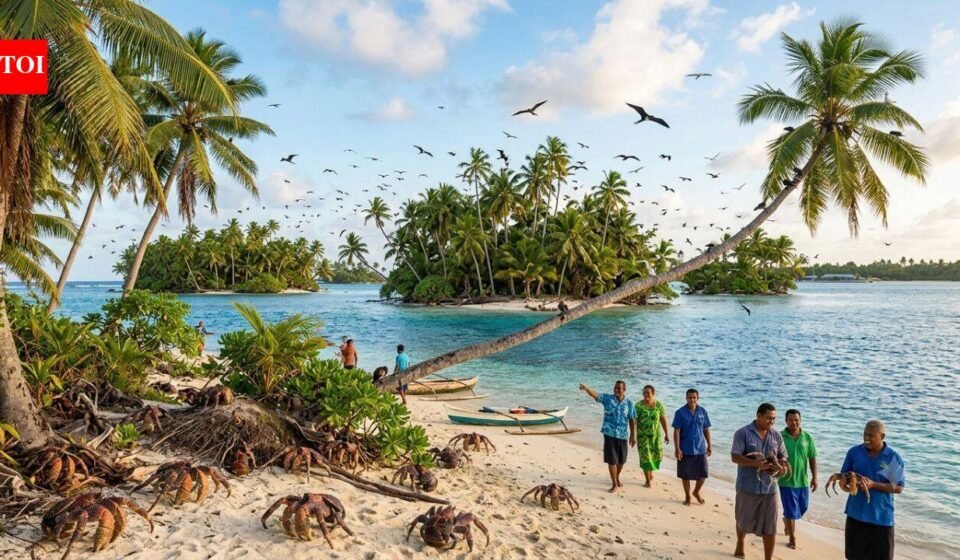 After years of invasive rats threatening island wildlife, Tuvalu removed them from six islets; residents are now seeing birds and coconut crabs return