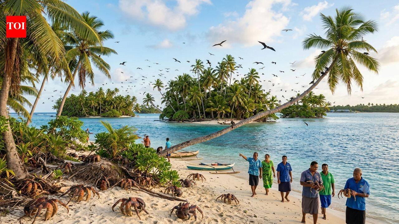 After years of invasive rats threatening island wildlife, Tuvalu removed them from six islets; residents are now seeing birds and coconut crabs return