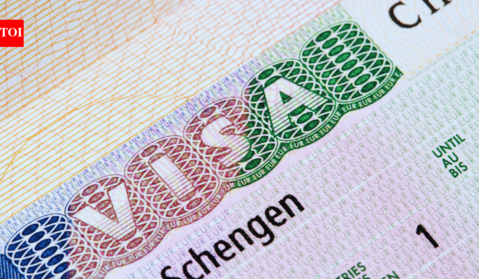 Pay €25,000 for Schengen visa: Indian company BLS under probe after Spain's Algerian migration crisis