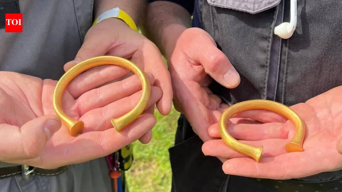 A British metal detectorist thought he'd found a bull's nose ring; it was actually a Bronze Age gold bracelet, and then two more appeared