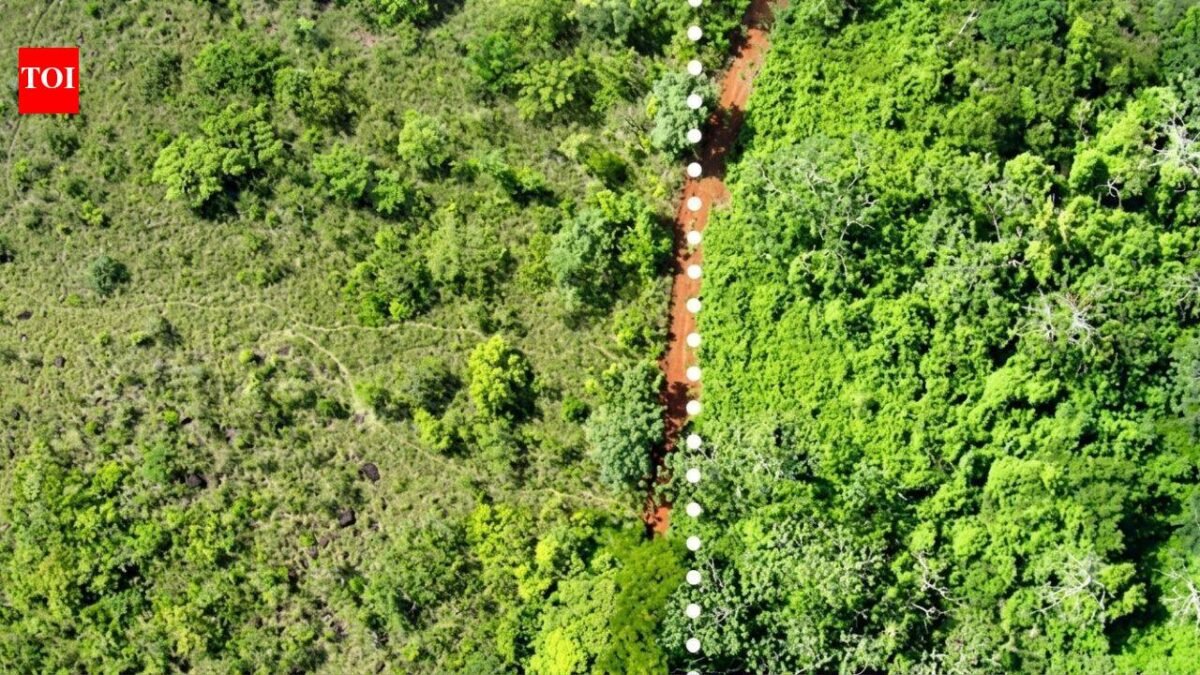 In 1998, Costa Rica spread 12,000 tonnes of orange waste over degraded pasture; 16 years later, tree diversity had tripled and forest biomass was 176% higher