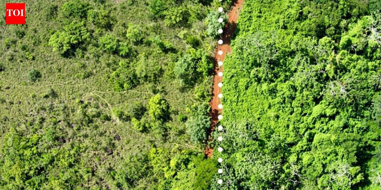 In 1998, Costa Rica spread 12,000 tonnes of orange waste over degraded pasture; 16 years later, tree diversity had tripled and forest biomass was 176% higher