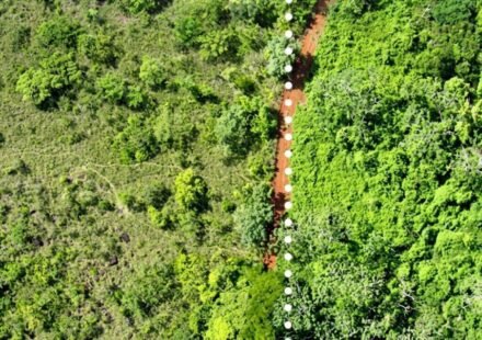 In 1998, Costa Rica spread 12,000 tonnes of orange waste over degraded pasture; 16 years later, tree diversity had tripled and forest biomass was 176% higher