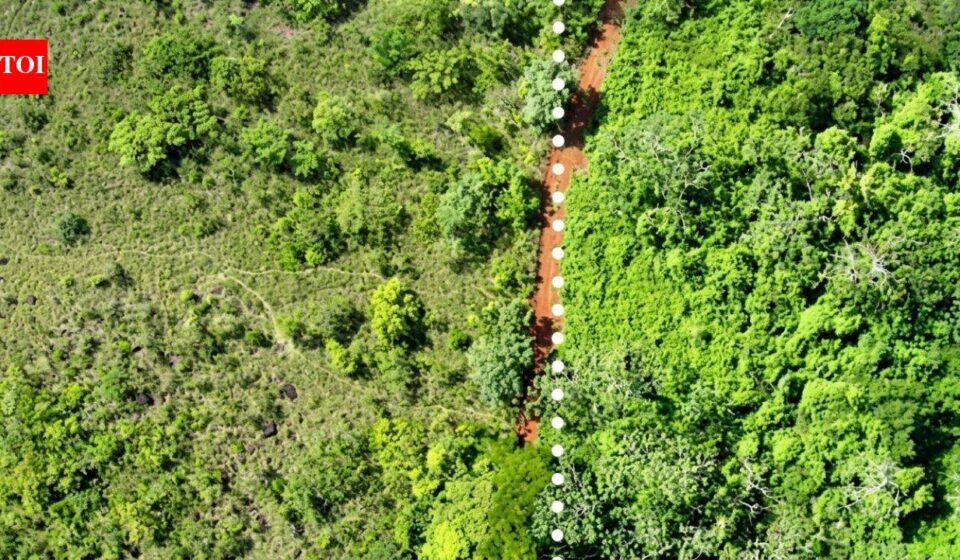 In 1998, Costa Rica spread 12,000 tonnes of orange waste over degraded pasture; 16 years later, tree diversity had tripled and forest biomass was 176% higher