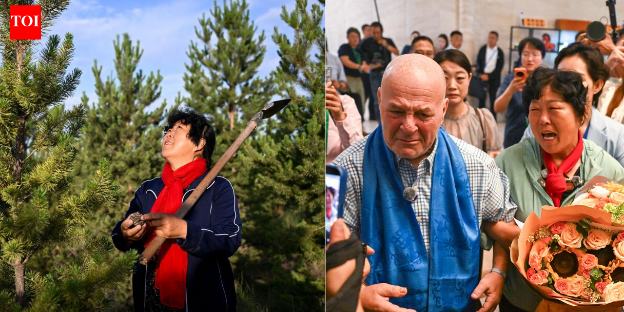 In 1999, an American teacher donated $5,000 to a Chinese woman fighting desertification; with his support, she planted a 50,000-tree forest, and 27 years later, they reunited in tears