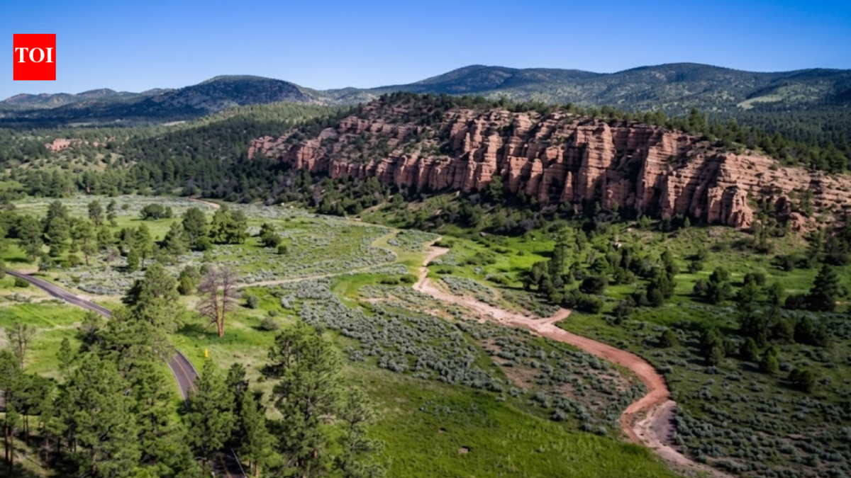 New Mexico has protected nearly 11,000 acres along the Mimbres River as a new wildlife area, safeguarding historic water rights, rare river habitat and a 2-mile stretch of the desert stream
