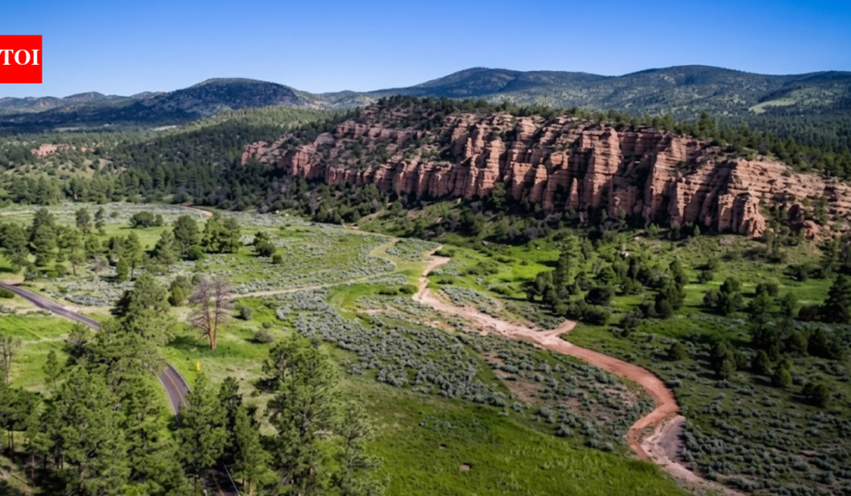 New Mexico has protected nearly 11,000 acres along the Mimbres River as a new wildlife area, safeguarding historic water rights, rare river habitat and a 2-mile stretch of the desert stream